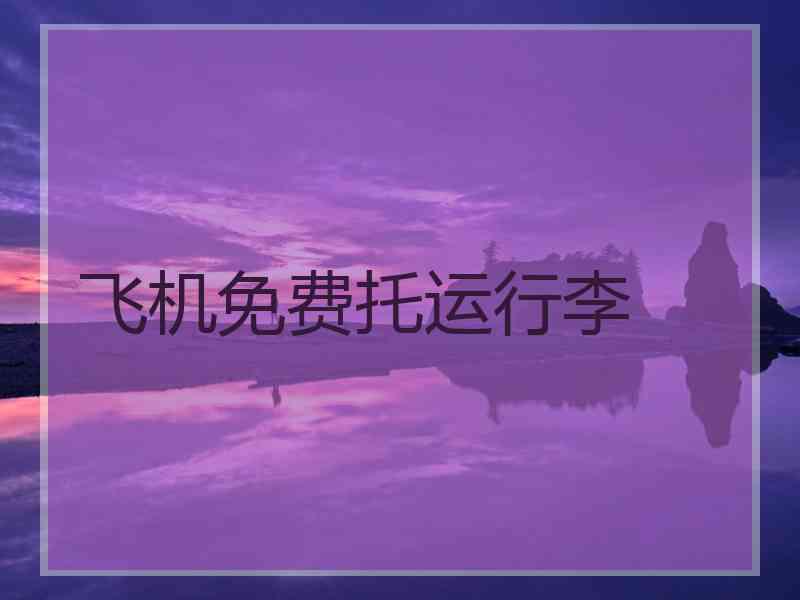 飞机免费托运行李 飞机免费托运行李