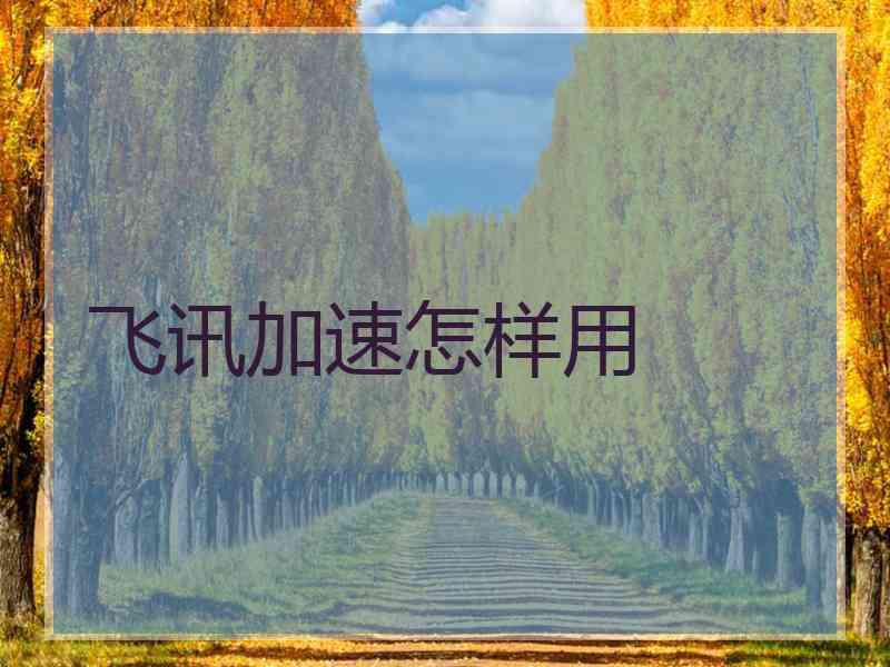 飞讯加速怎样用 飞讯加速怎样用