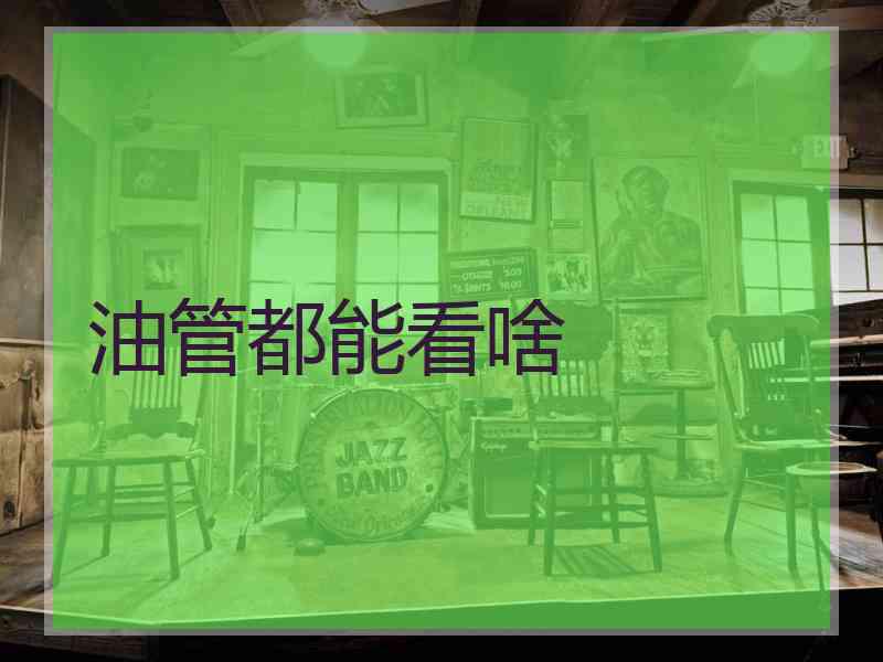 油管都能看啥 油管都能看啥