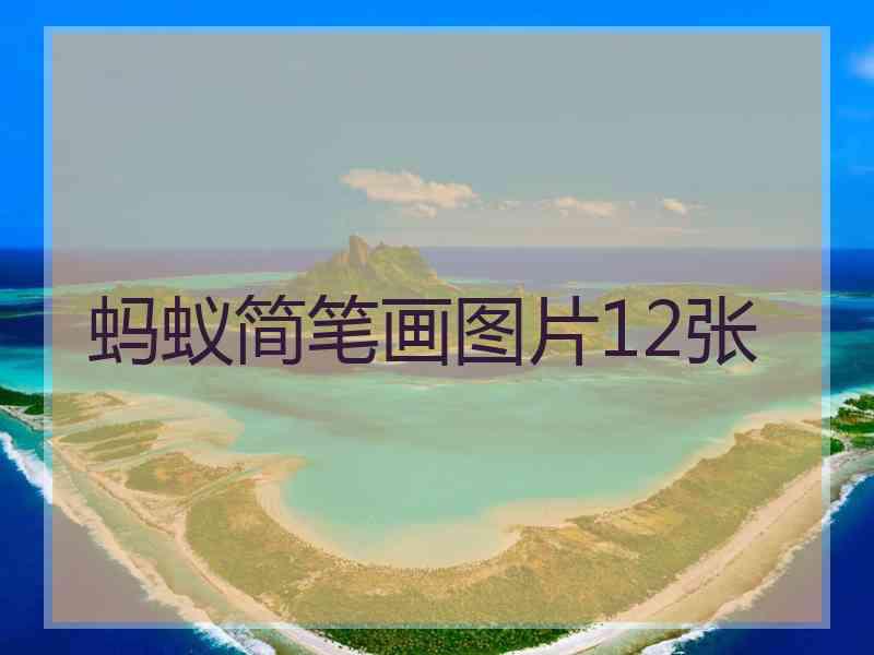蚂蚁简笔画图片12张 蚂蚁简笔画图片12张
