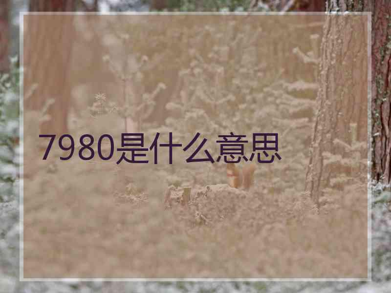 7980是什么意思 7980是什么意思