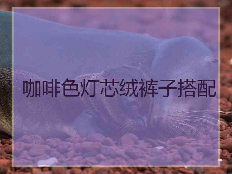 咖啡色灯芯绒裤子搭配 咖啡色灯芯绒裤子搭配