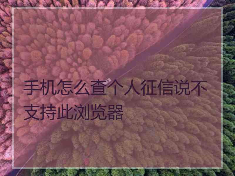 手机怎么查个人征信说不支持此浏览器 手机怎么查个人征信说不支持此浏览器