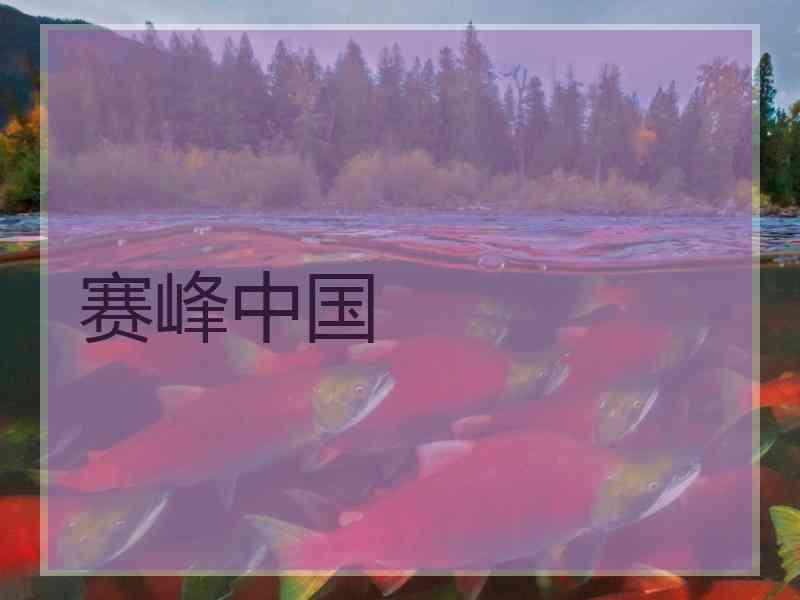 赛峰中国 赛峰中国