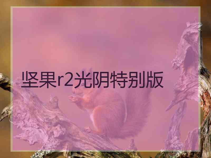坚果r2光阴特别版 坚果r2光阴特别版