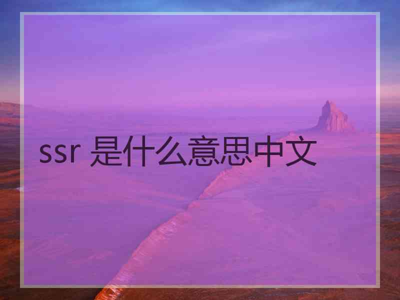 ssr 是什么意思中文
