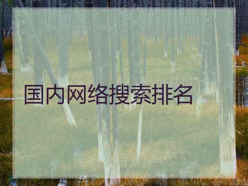 国内网络搜索排名 国内网络搜索排名