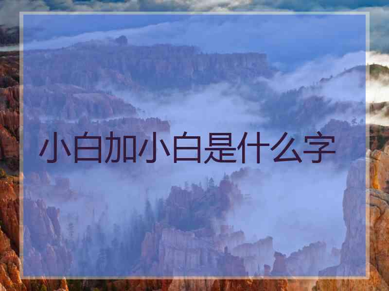 小白加小白是什么字 小白加小白是什么字