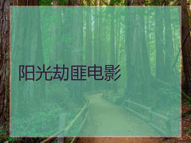 阳光劫匪电影 阳光劫匪电影