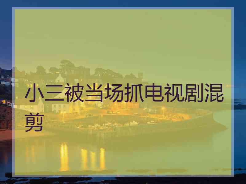 小三被当场抓电视剧混剪 小三被当场抓电视剧混剪
