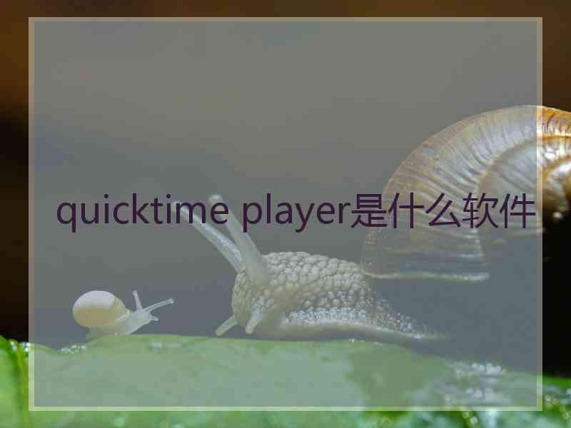 quicktime player是什么软件