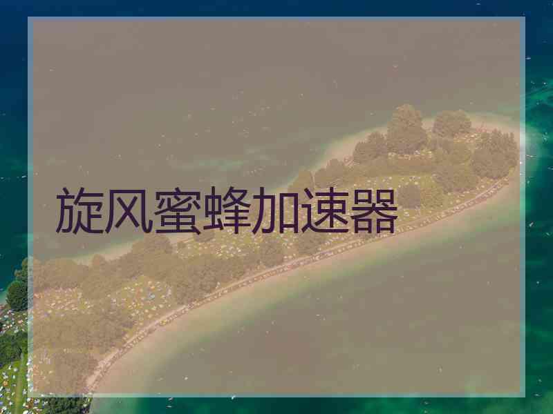 旋风蜜蜂加速器 旋风蜜蜂加速器