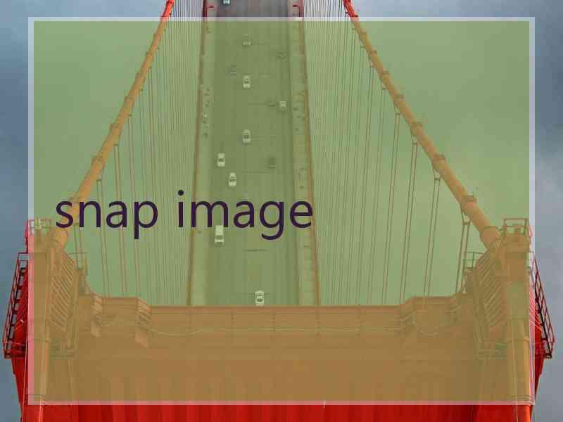 snap image