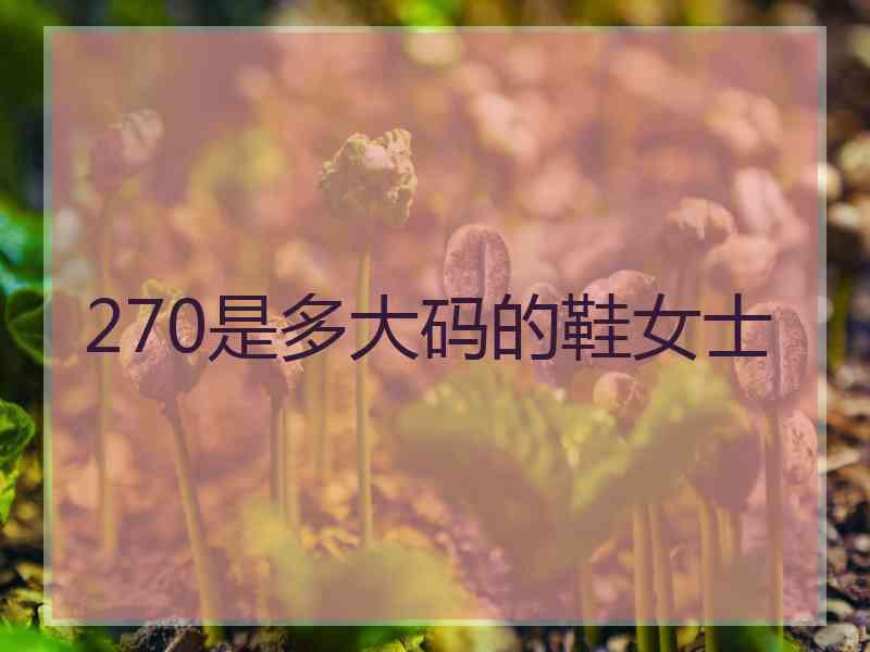 270是多大码的鞋女士 270是多大码的鞋女士
