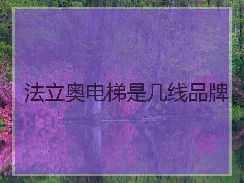 法立奥电梯是几线品牌 法立奥电梯是几线品牌
