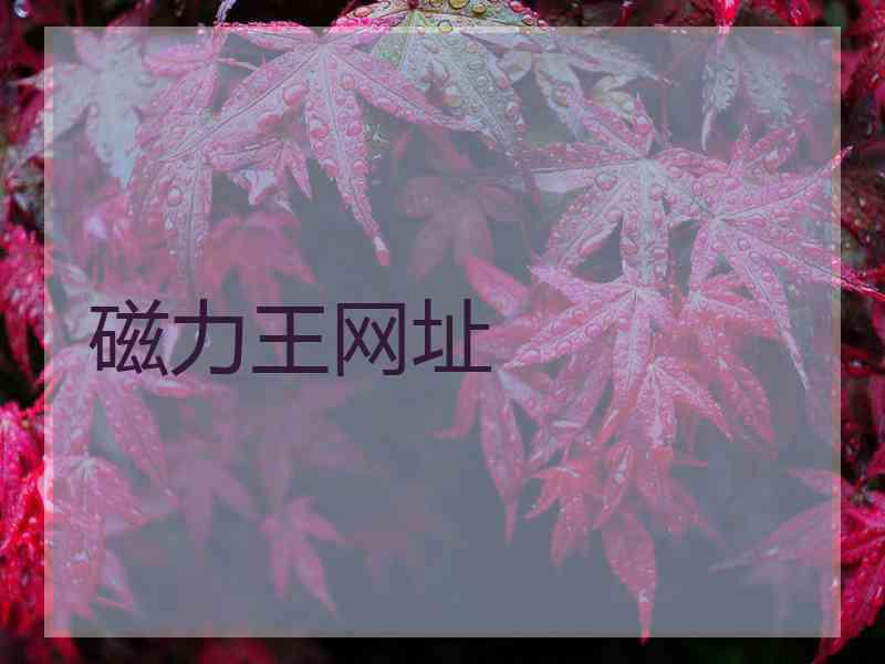 磁力王网址 磁力王网址