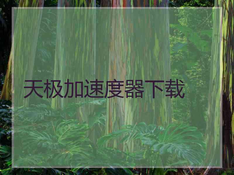 天极加速度器下载 天极加速度器下载