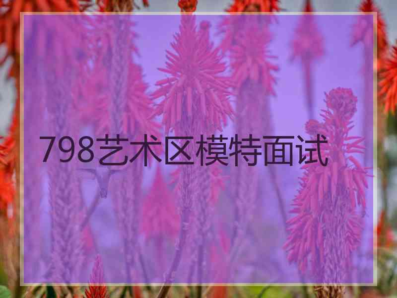 798艺术区模特面试 798艺术区模特面试