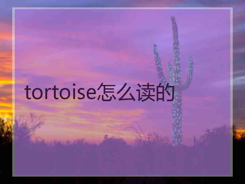 tortoise怎么读的 tortoise怎么读的