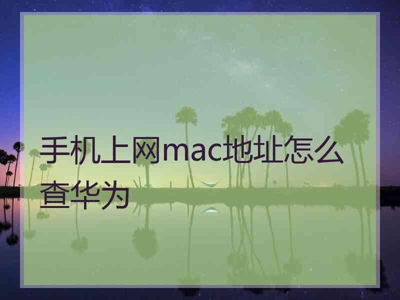 手机上网mac地址怎么查华为 手机上网mac地址怎么查华为