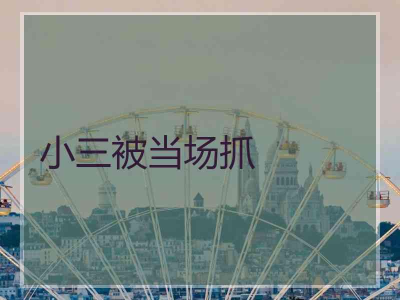 小三被当场抓 小三被当场抓