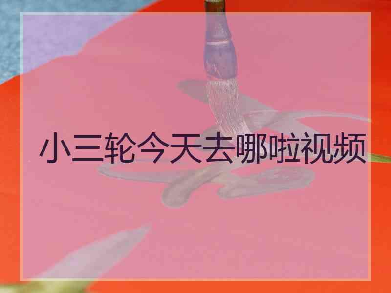 小三轮今天去哪啦视频 小三轮今天去哪啦视频