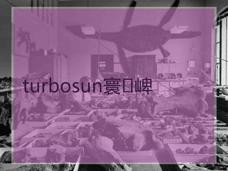 turbosun寰崥 turbosun寰崥
