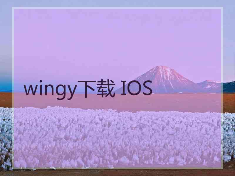 wingy下载 IOS wingy下载 IOS