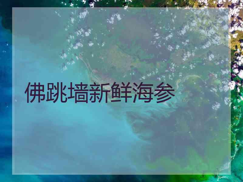 佛跳墙新鲜海参 佛跳墙新鲜海参