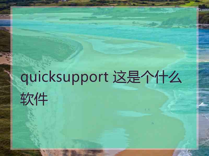 quicksupport 这是个什么软件