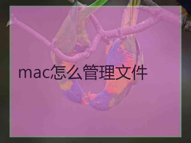 mac怎么管理文件 mac怎么管理文件