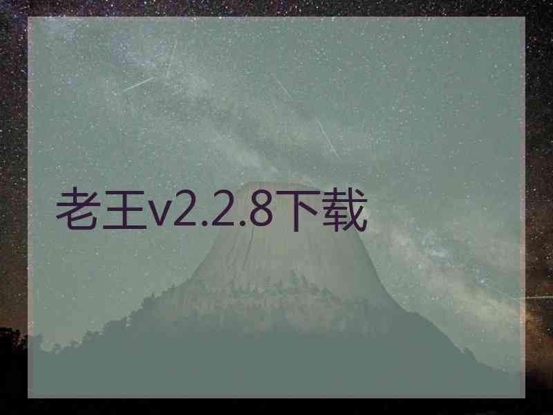 老王v2.2.8下载