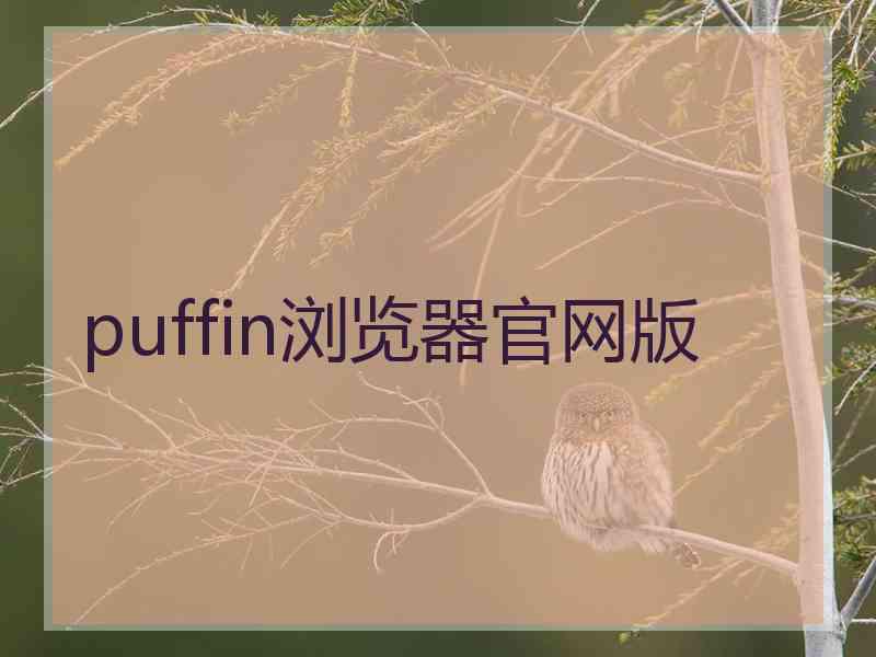 puffin浏览器官网版 puffin浏览器官网版