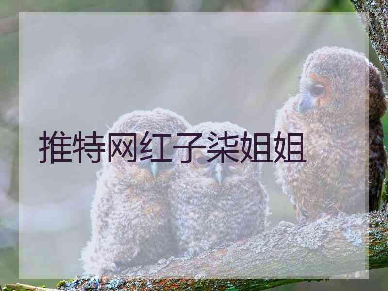 推特网红子柒姐姐 推特网红子柒姐姐