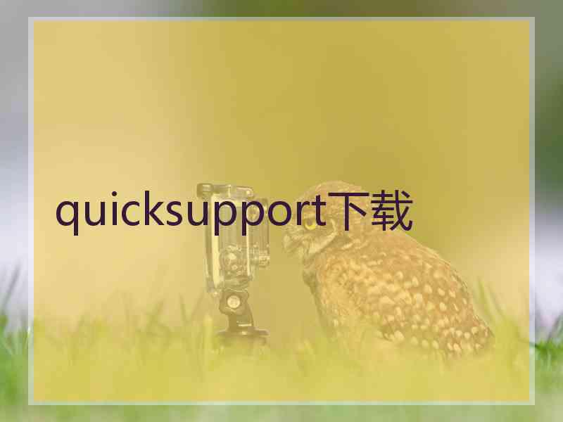 quicksupport下载