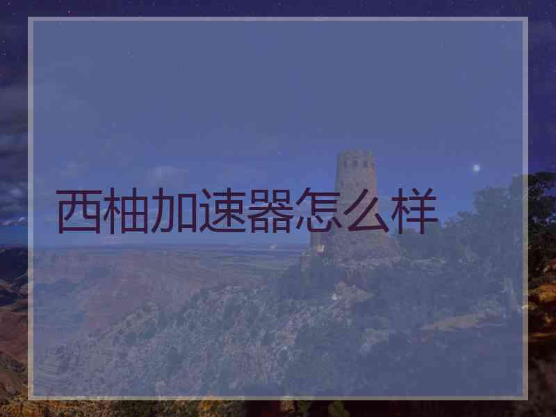 西柚加速器怎么样 西柚加速器怎么样
