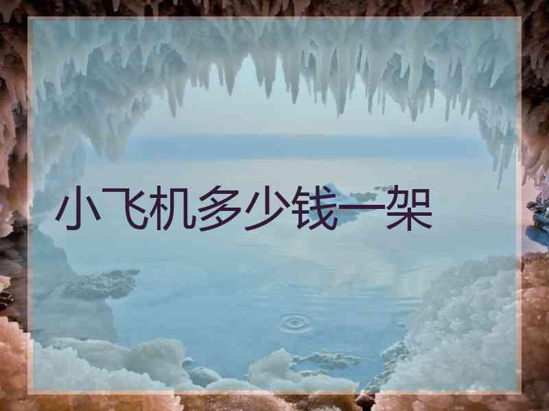 小飞机多少钱一架 小飞机多少钱一架