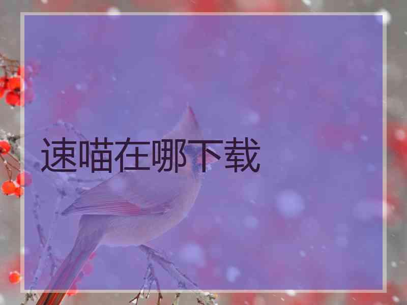 速喵在哪下载 速喵在哪下载