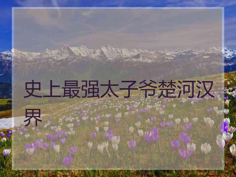 史上最强太子爷楚河汉界 史上最强太子爷楚河汉界