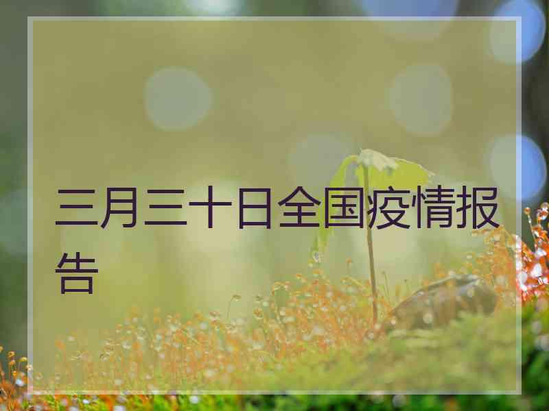 三月三十日全国疫情报告 三月三十日全国疫情报告