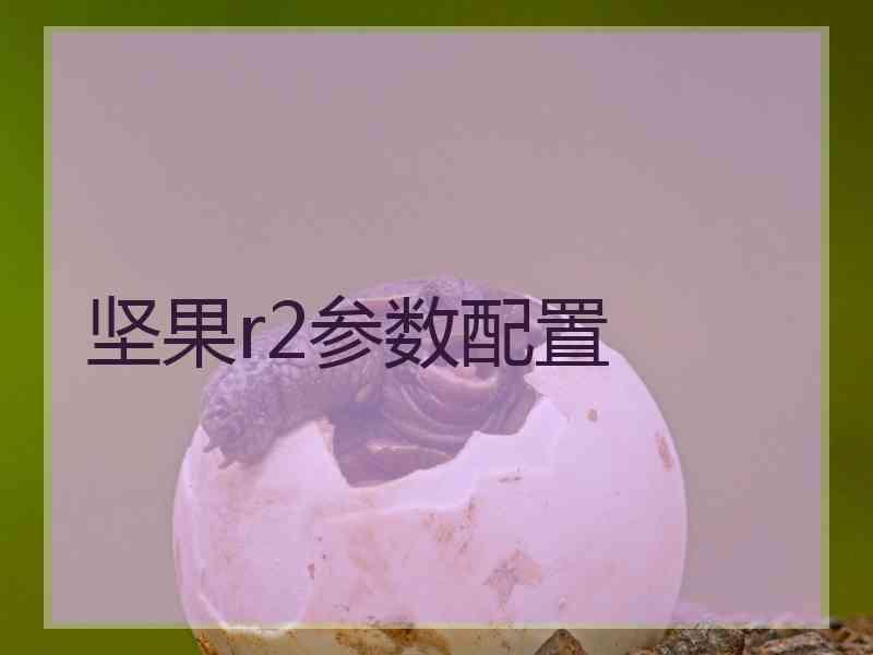 坚果r2参数配置 坚果r2参数配置