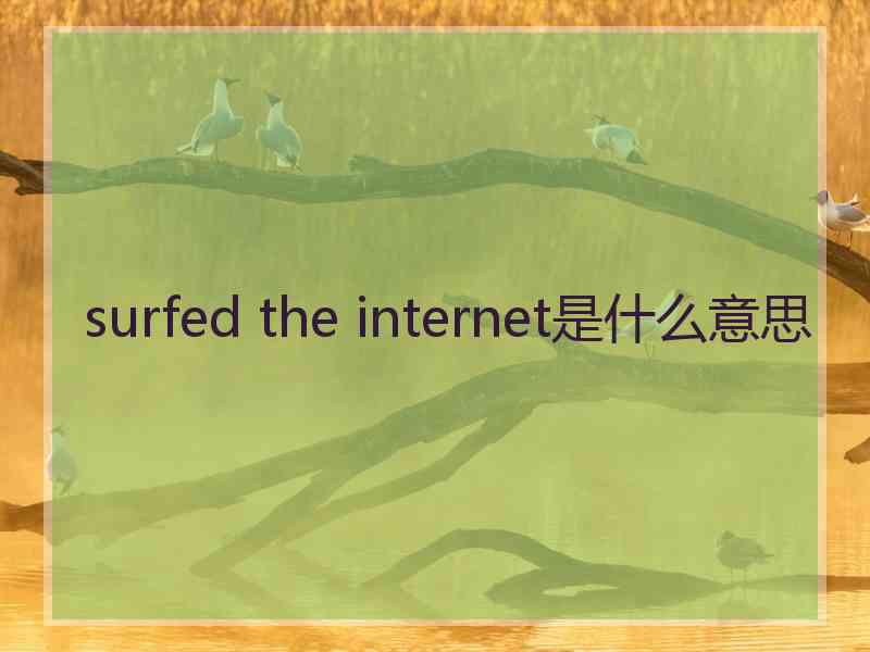 surfed the internet是什么意思