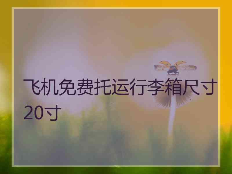 飞机免费托运行李箱尺寸20寸 飞机免费托运行李箱尺寸20寸