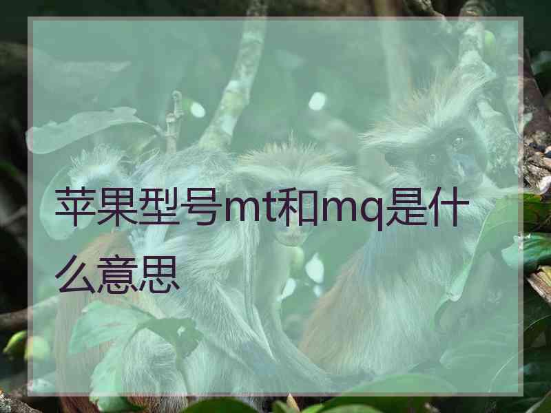 苹果型号mt和mq是什么意思 苹果型号mt和mq是什么意思