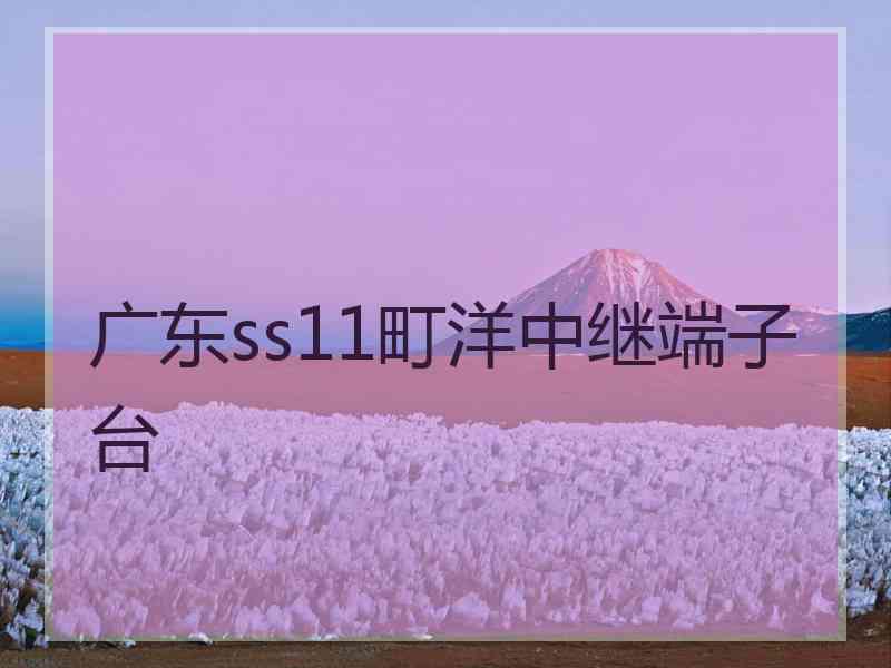 广东ss11町洋中继端子台 广东ss11町洋中继端子台