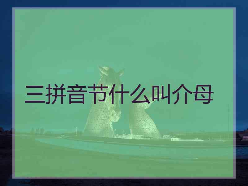 三拼音节什么叫介母 三拼音节什么叫介母