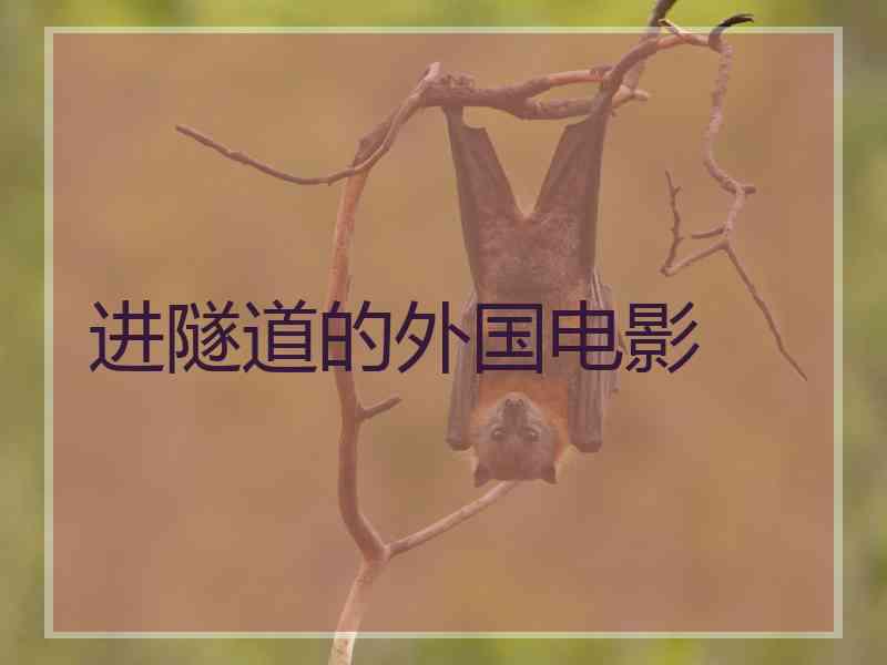 进隧道的外国电影 进隧道的外国电影