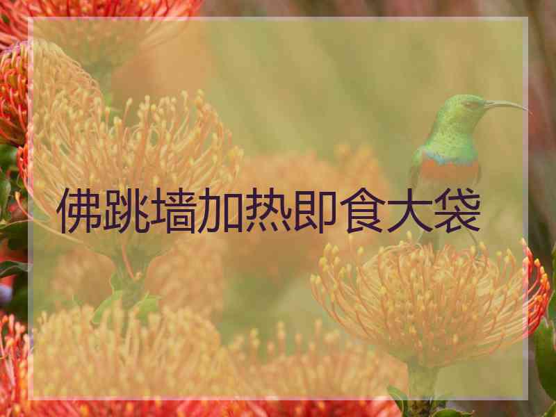 佛跳墙加热即食大袋 佛跳墙加热即食大袋