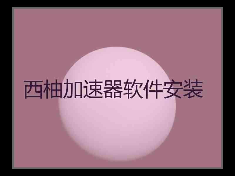 西柚加速器软件安装 西柚加速器软件安装