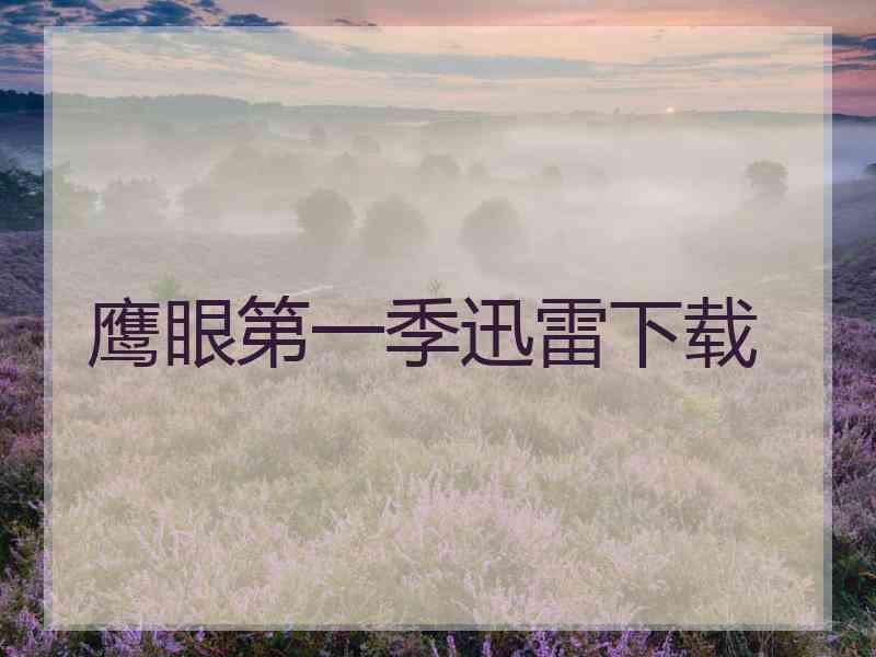 鹰眼第一季迅雷下载 鹰眼第一季迅雷下载